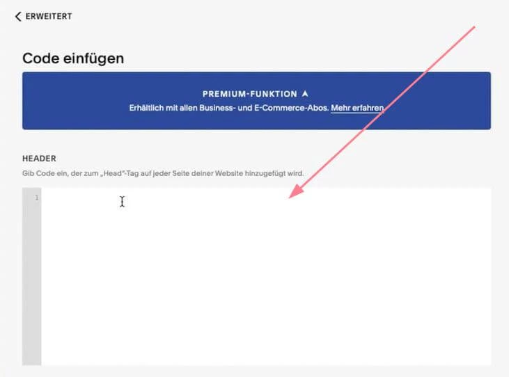 Head-Coad field from Squarespace